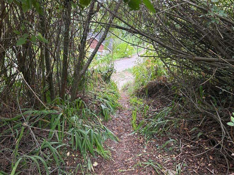 Terreno en venta en Frutillar — foto 3