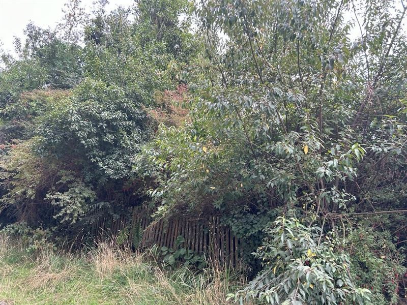 Terreno en venta en Frutillar — foto 5