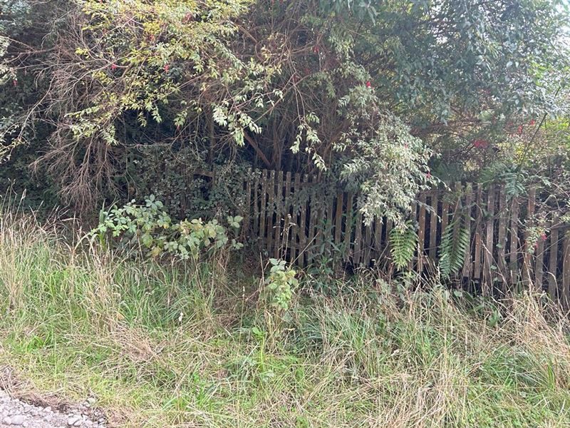 Terreno en venta en Frutillar — foto 6