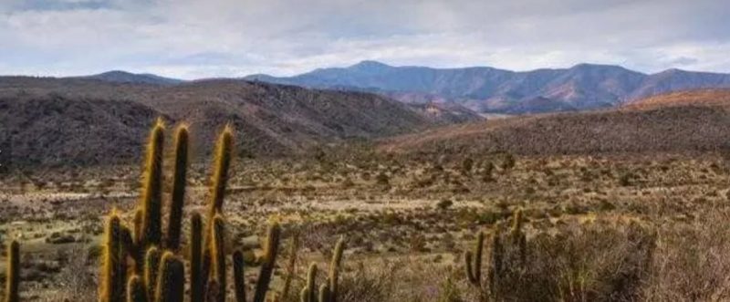Parcela en venta en Los Vilos — foto 3
