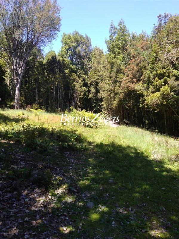 Terreno en venta en Puerto Montt — foto 1