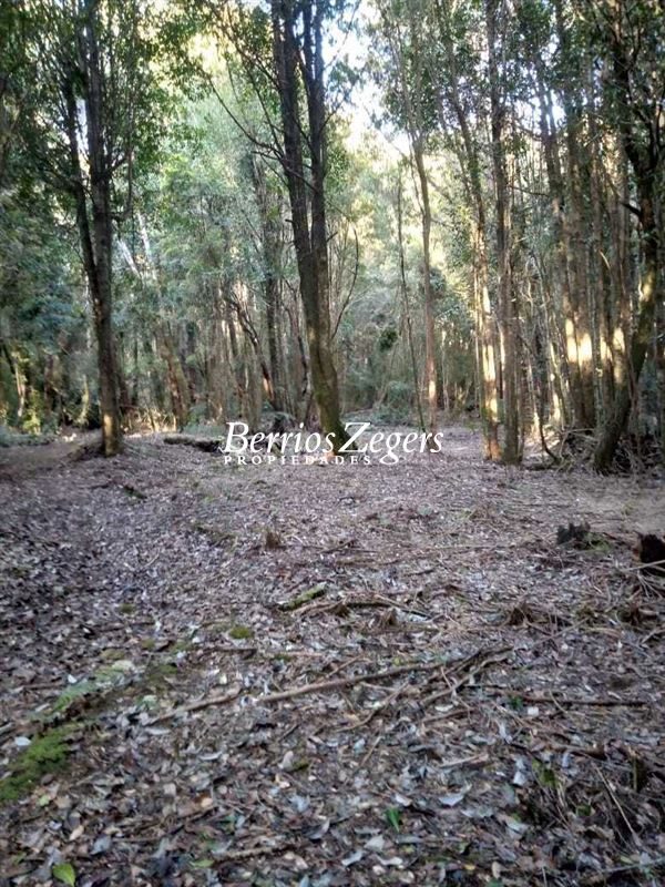 Terreno en venta en Puerto Montt — foto 7