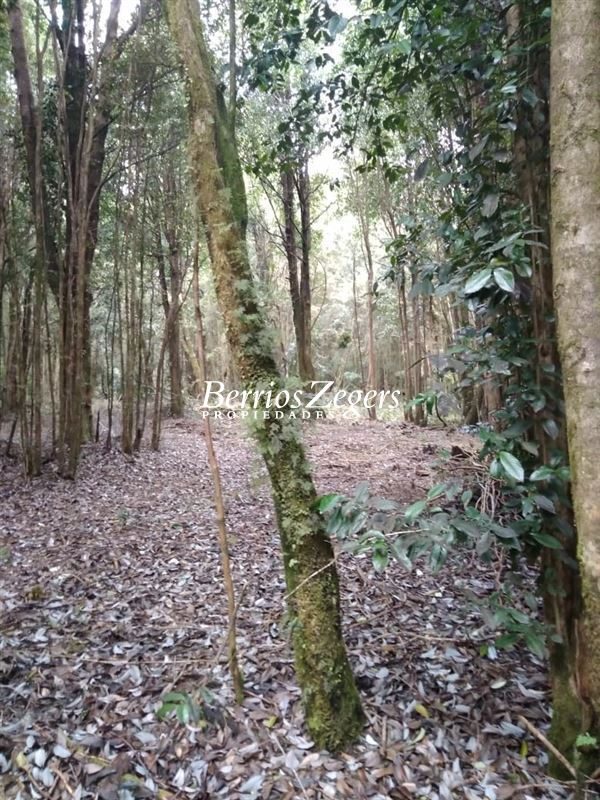 Terreno en venta en Puerto Montt — foto 8