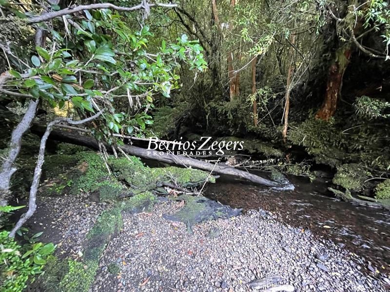Parcela en venta en Hualaihué — foto 3