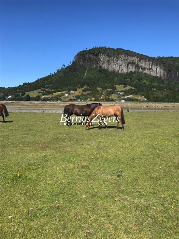 Parcela en venta en Hualaihué — foto 6