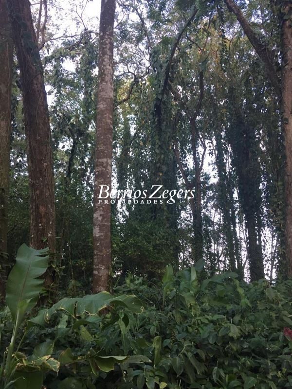 Parcela en venta en Hualaihué — foto 9