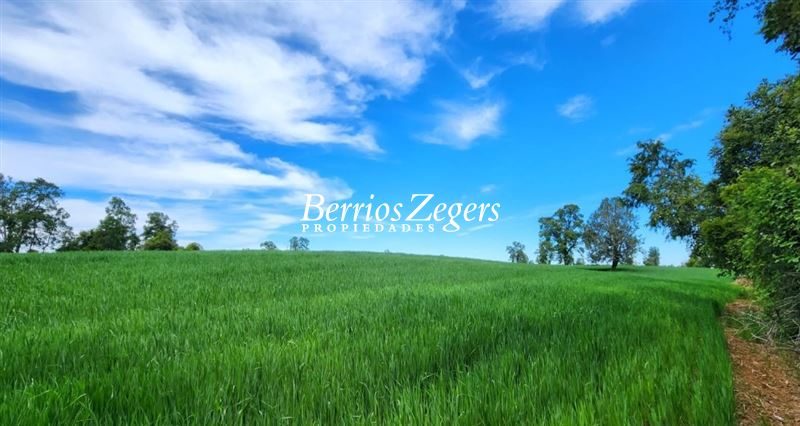 Terreno en venta en La Unión — foto 4
