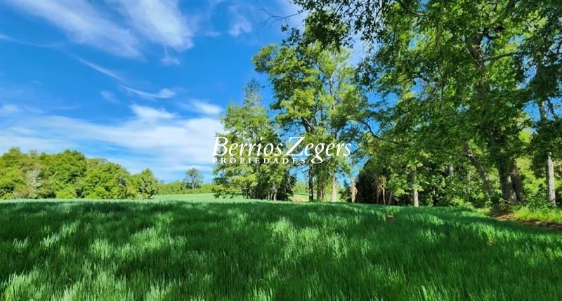 Terreno en venta en La Unión — foto 6