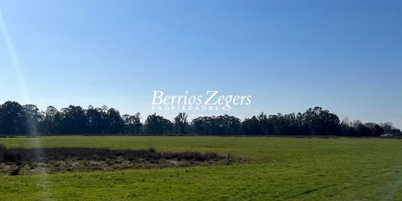 Terreno en venta en Valdivia — foto 2