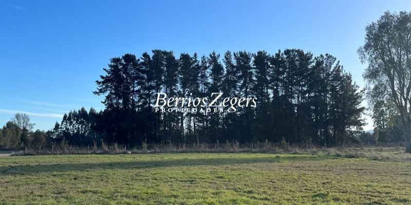 Terreno en venta en Valdivia — foto 3