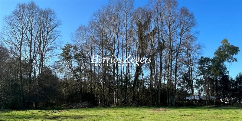 Terreno en venta en Valdivia — foto 5