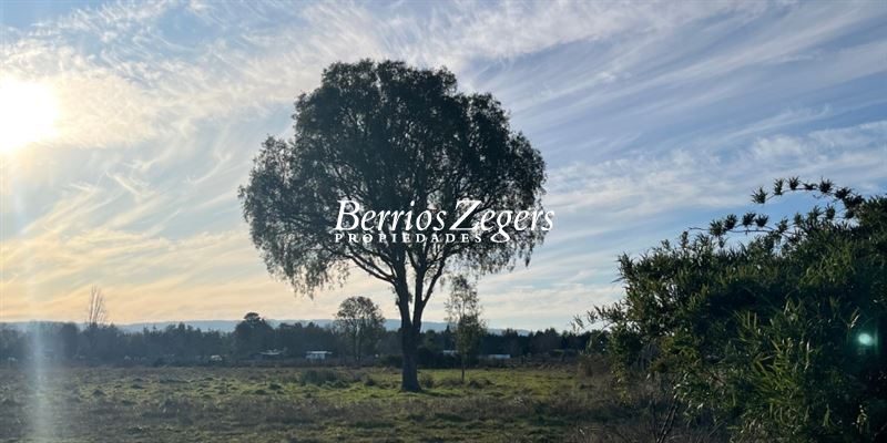 Terreno en venta en Valdivia — foto 6