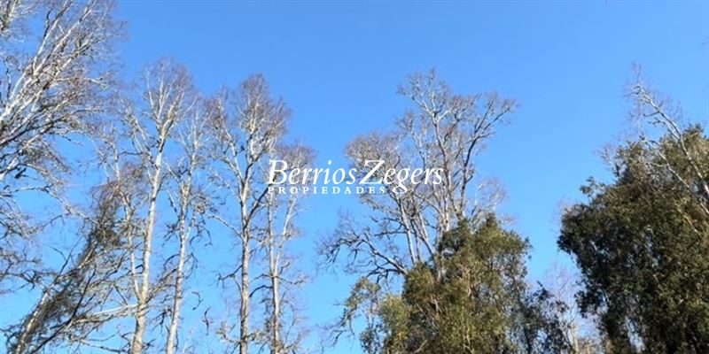 Terreno en venta en Valdivia — foto 7