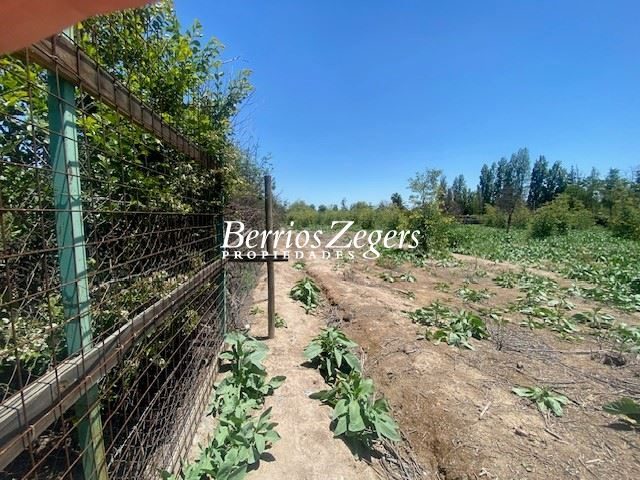 Terreno en venta en San Bernardo — foto 7