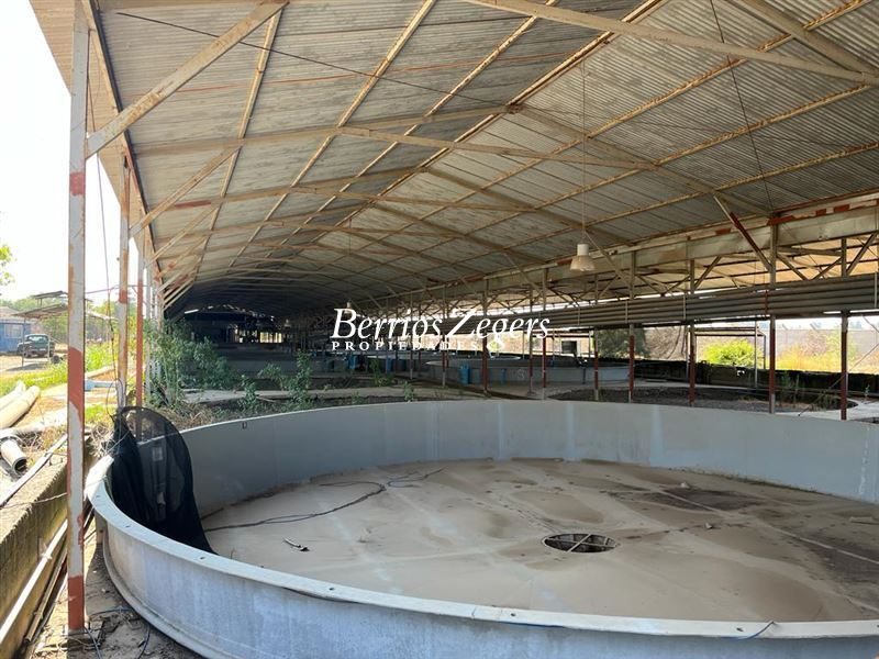 Terreno en venta en Peñaflor — foto 3
