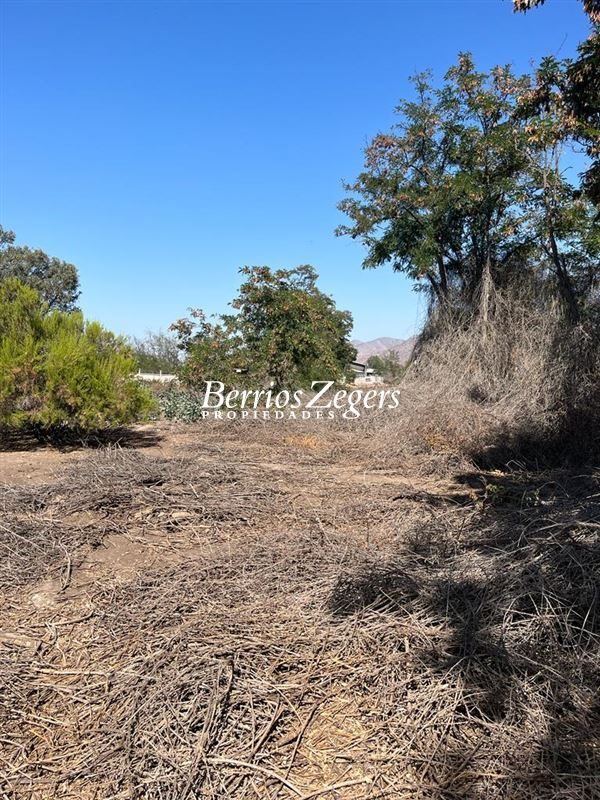 Terreno en venta en Peñaflor — foto 4