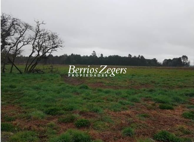 Terreno en venta en Frutillar — foto 6