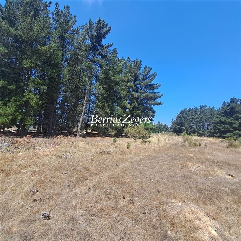 Terreno en venta en Viña del Mar — foto 8