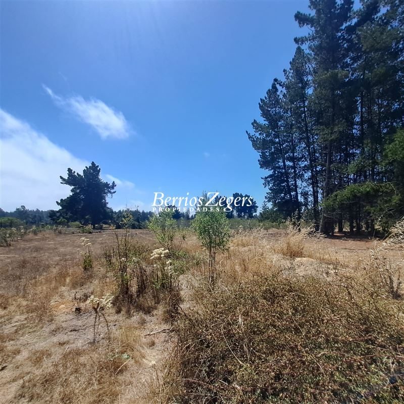 Terreno en venta en Viña del Mar — foto 9