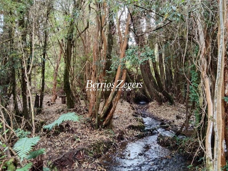 Terreno en venta en Llanquihue — foto 2