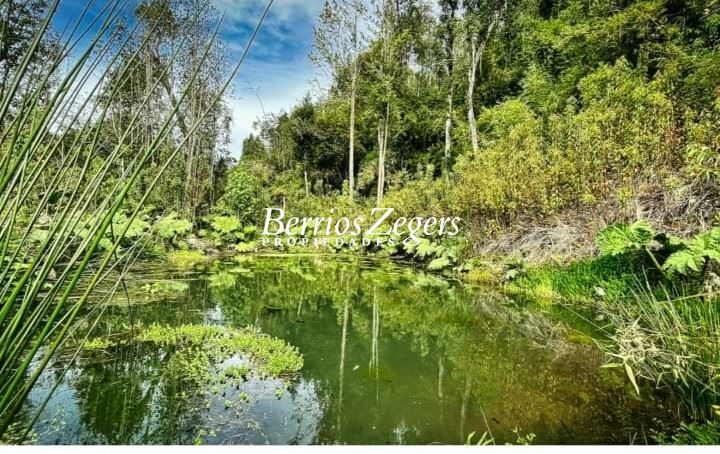 Terreno en venta en Llanquihue — foto 4