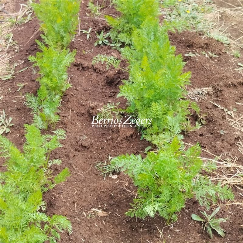 Terreno en venta en Llanquihue — foto 9