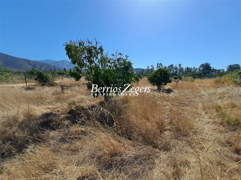 Terreno en venta en Limache — foto 7
