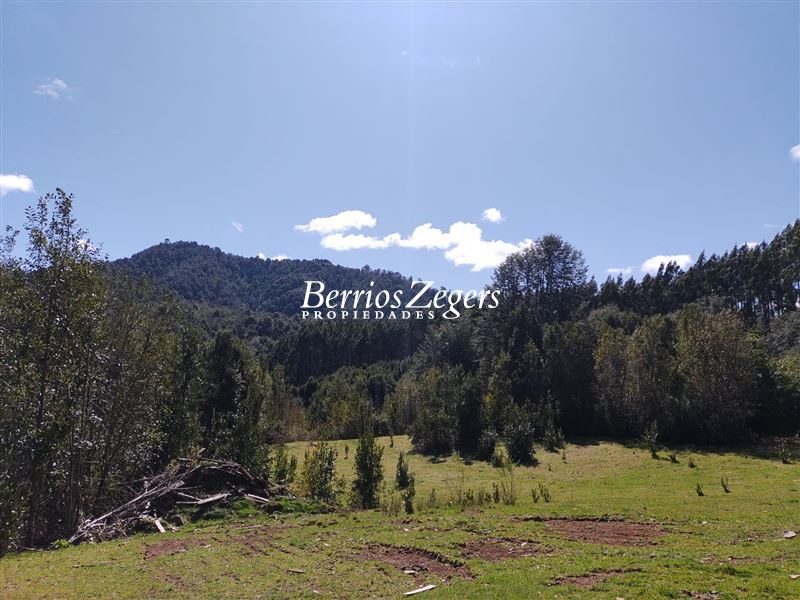 Terreno en venta en Purranque — foto 1