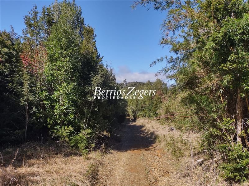 Terreno en venta en Purranque — foto 5
