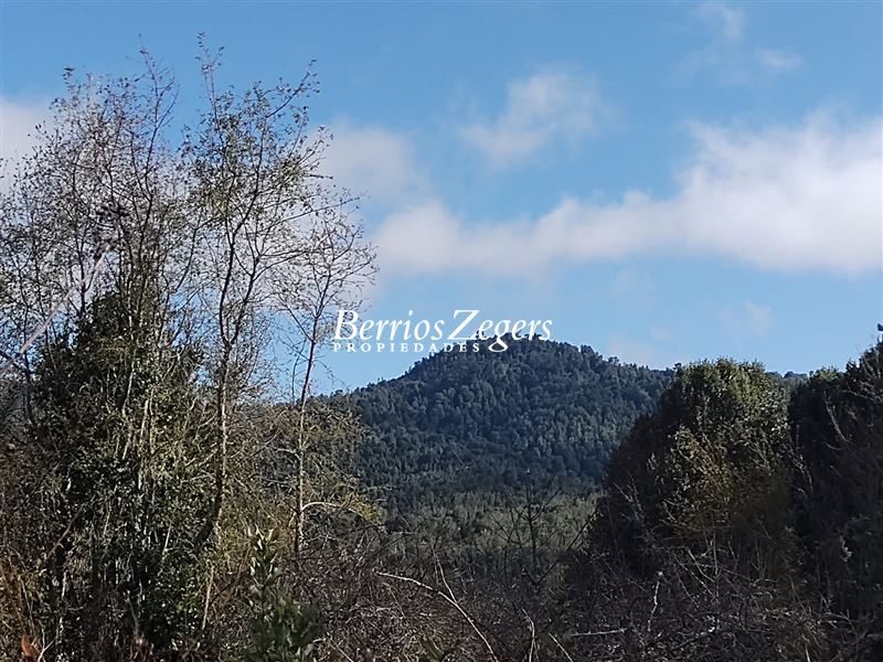 Terreno en venta en Purranque — foto 8