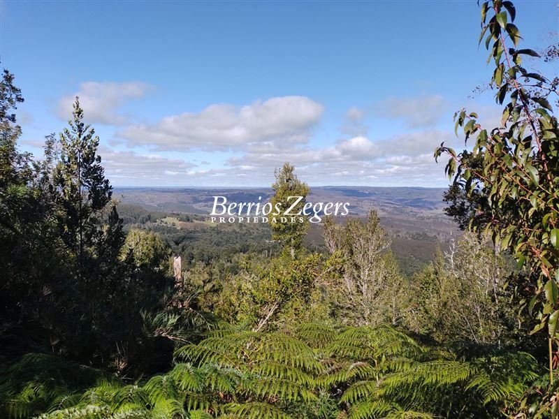 Terreno en venta en Purranque — foto 9
