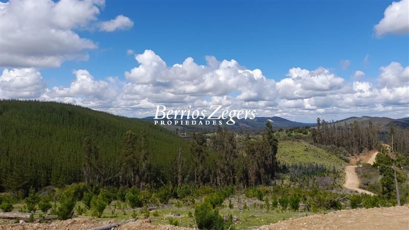 Parcela en venta en Vichuquén — foto 1