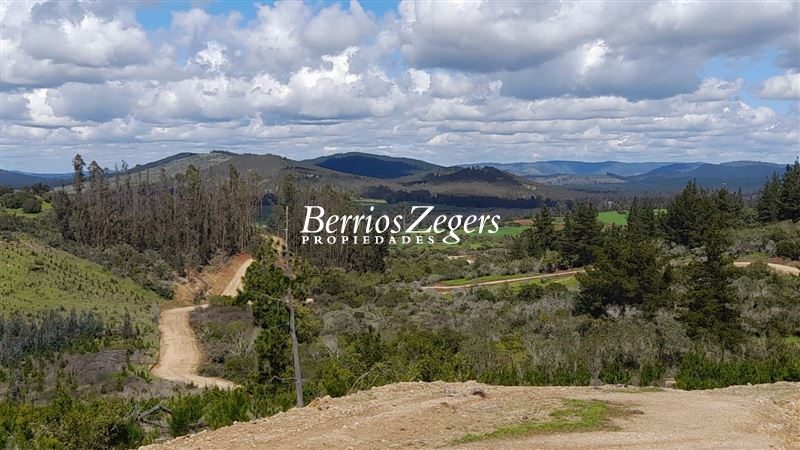 Parcela en venta en Vichuquén — foto 2
