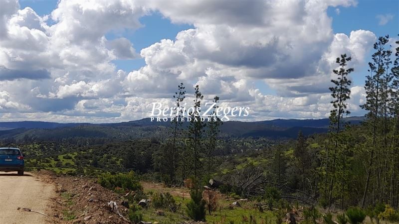 Parcela en venta en Vichuquén — foto 4