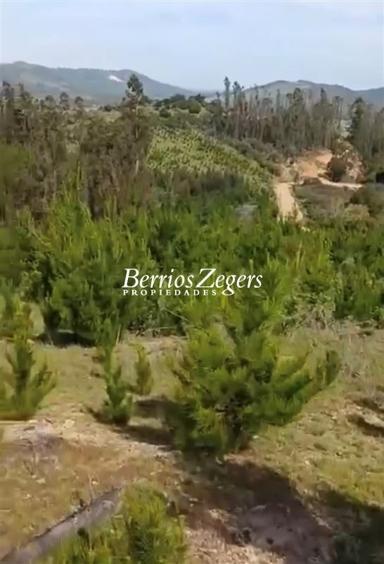 Parcela en venta en Vichuquén — foto 6