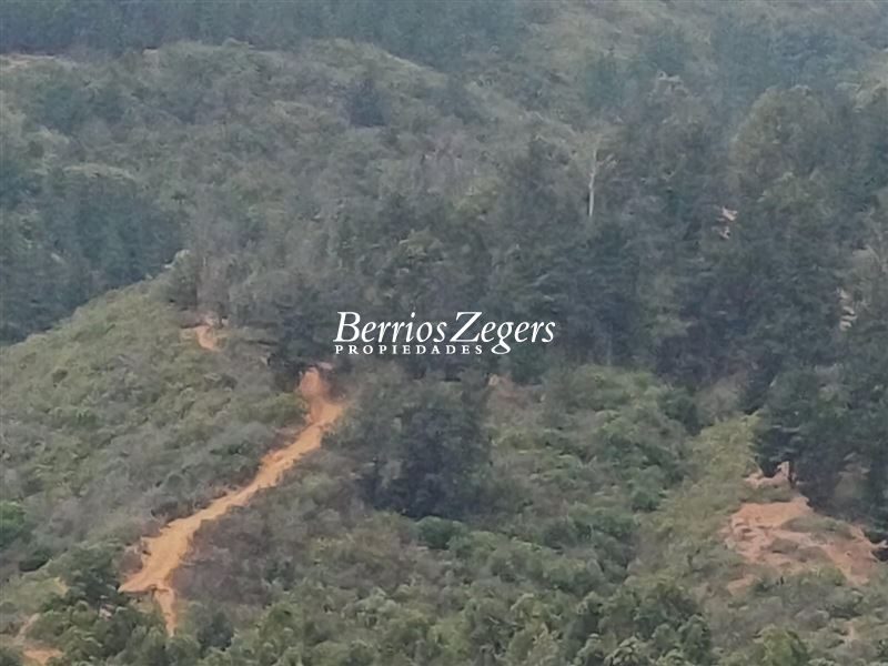 Terreno en venta en Viña del Mar — foto 5
