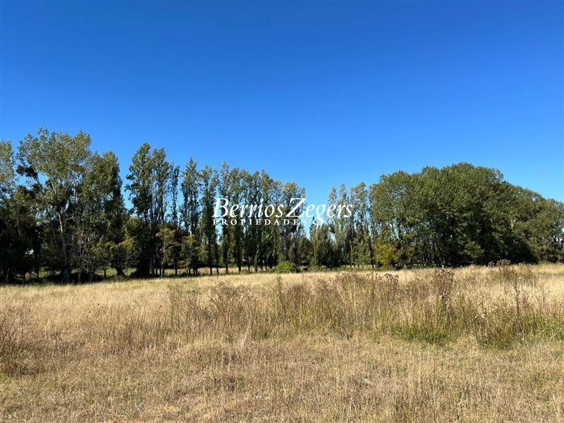 Parcela en venta en Maule — foto 3