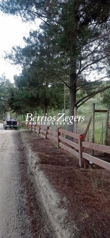 Parcela en venta en Las Cabras — foto 5