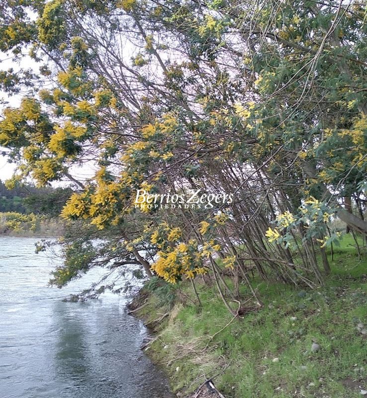 Terreno en venta en Chillán — foto 2