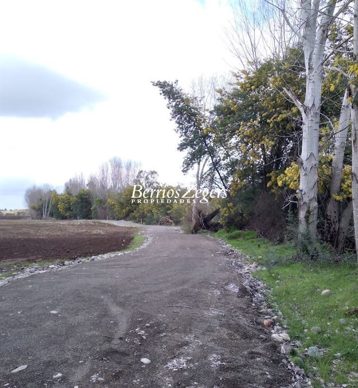 Terreno en venta en Chillán — foto 7