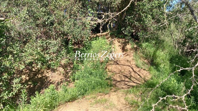 Parcela en venta en Limache — foto 7