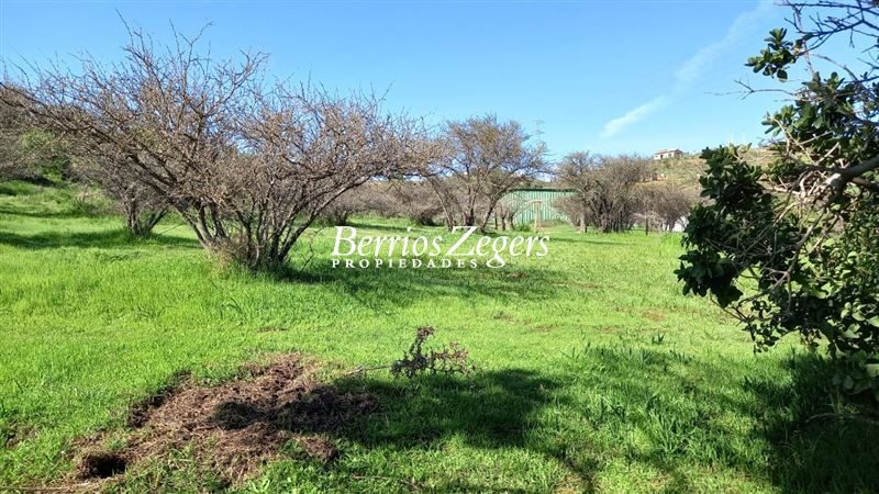 Parcela en venta en Limache — foto 8