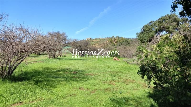 Parcela en venta en Limache — foto 9
