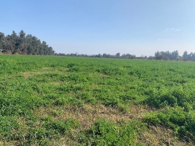 Terreno en venta en San Bernardo — foto 1