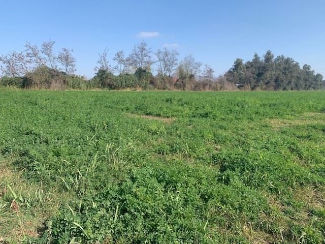 Terreno en venta en San Bernardo — foto 2