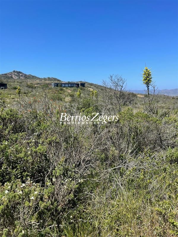 Terreno en venta en La Ligua — foto 3