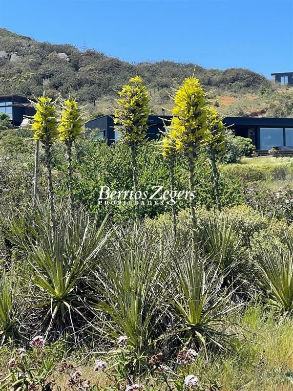 Terreno en venta en La Ligua — foto 5