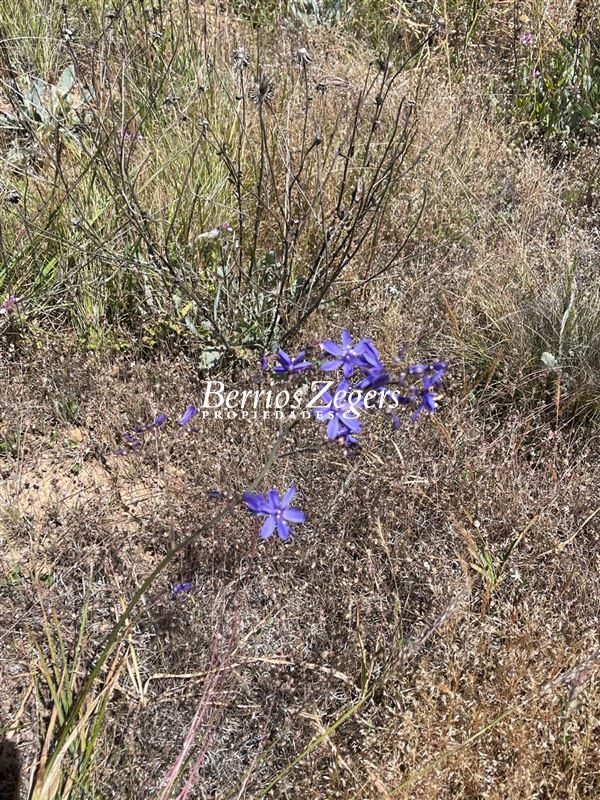 Terreno en venta en La Ligua — foto 6