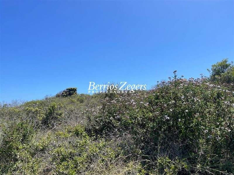 Terreno en venta en La Ligua — foto 8