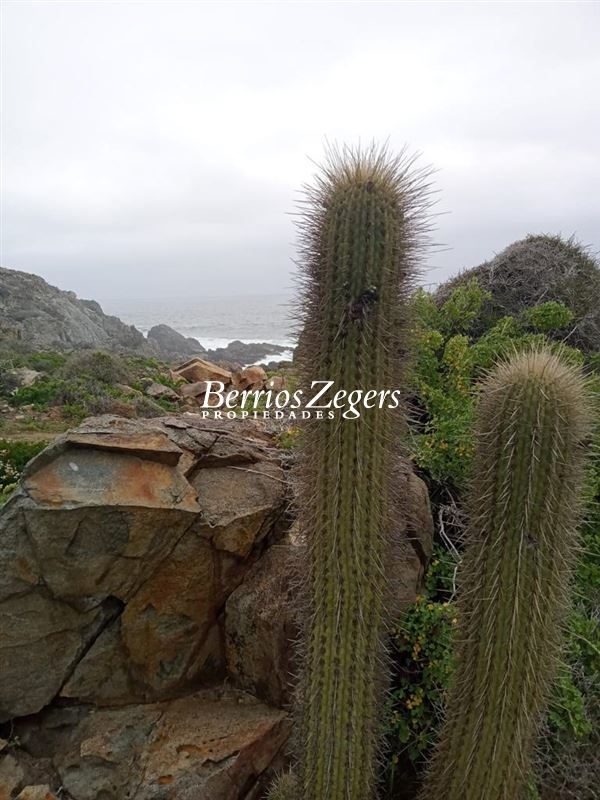 Terreno en venta en Ovalle — foto 2